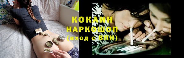 соль ск Алексеевка