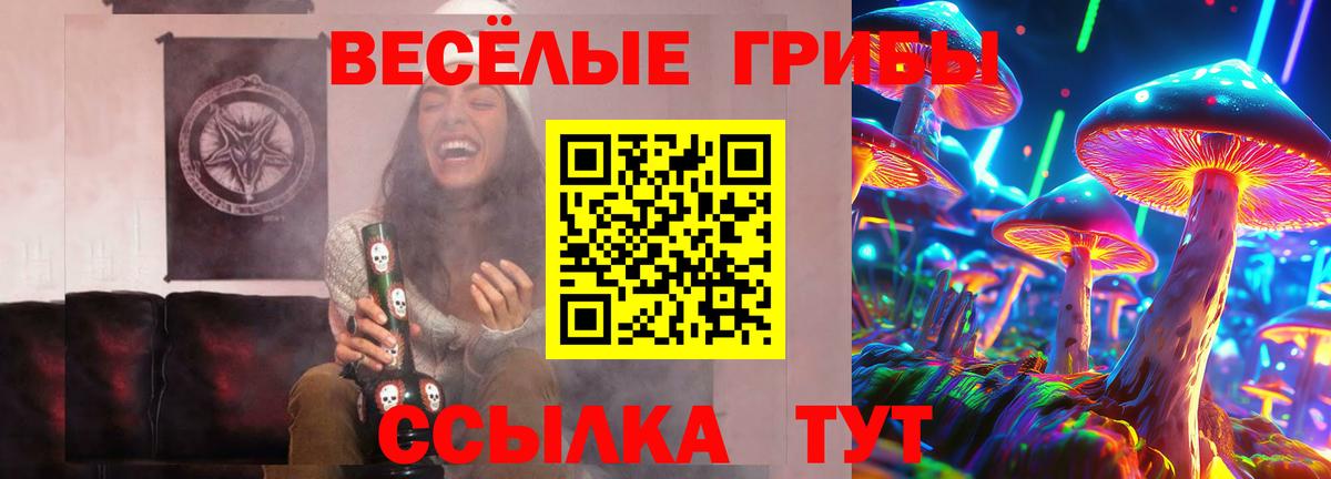 Строитель  Галлюциногенные грибы Cubensis  Псилоцибиновые грибы прущие грибы  Вход с VPN 