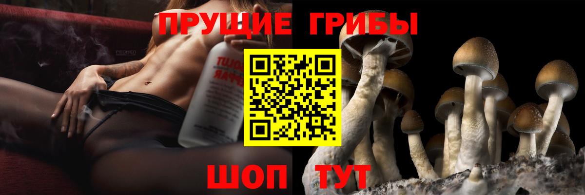Псилоцибиновые грибы MAGIC MUSHROOMS Строитель
